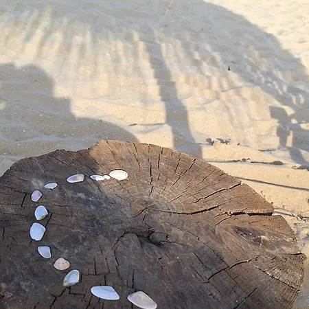 Sun Coast By The Sea * Sveti Vlas