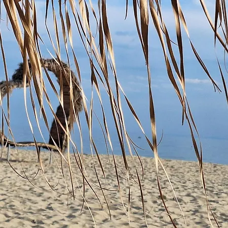 Sun Coast By The Sea Lejlighed