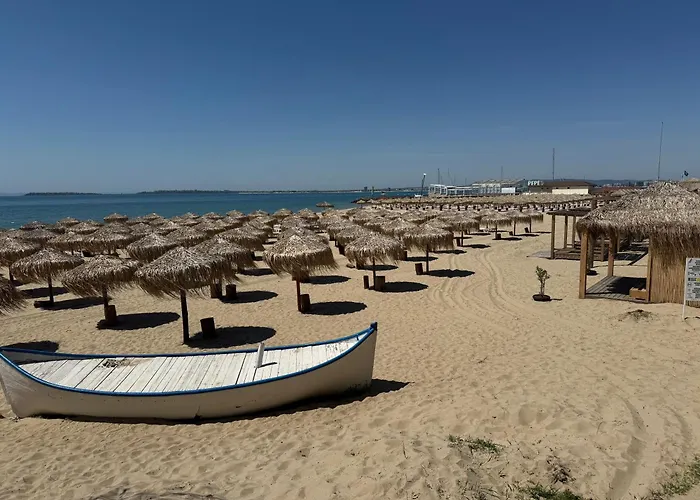 Sun Coast By The Sea *