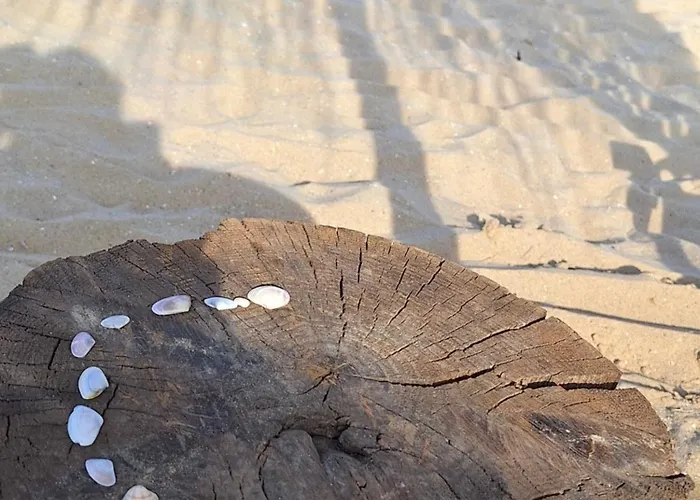 Sun Coast By The Sea * Sveti Vlas