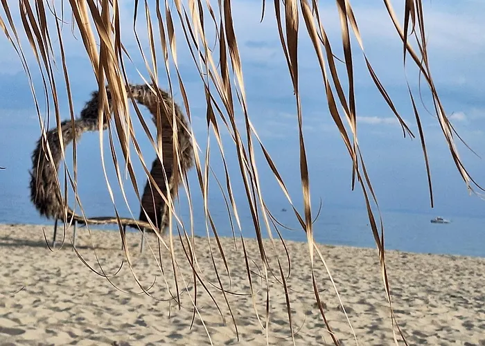 Sun Coast By The Sea Apartament